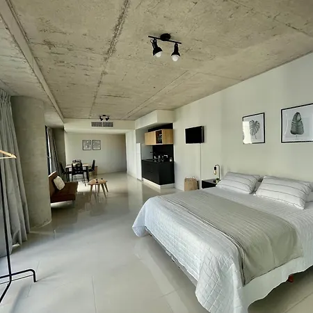 Turisba - Loft En Mansion Botanico Palermo - Buenos Aires Apartment Exterior photo